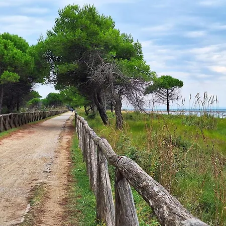 Amazing Flat With Terrace And Pool Daire Bibione